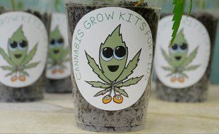 From growing to smoking, eating to drinking, we got all the awesome gadgets you need right here.