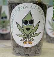 From growing to smoking, eating to drinking, we got all the awesome gadgets you need right here.