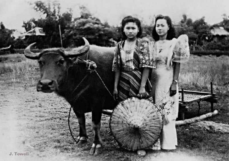 Stunning photos of Manila Pre-WWII from John Tewell